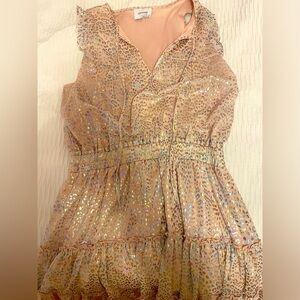 BOUTIQUE leopard shimmer dress